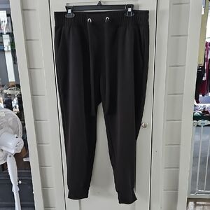 Drawstring Elastic Waist Pocketed Dressy Joggers Sz Large